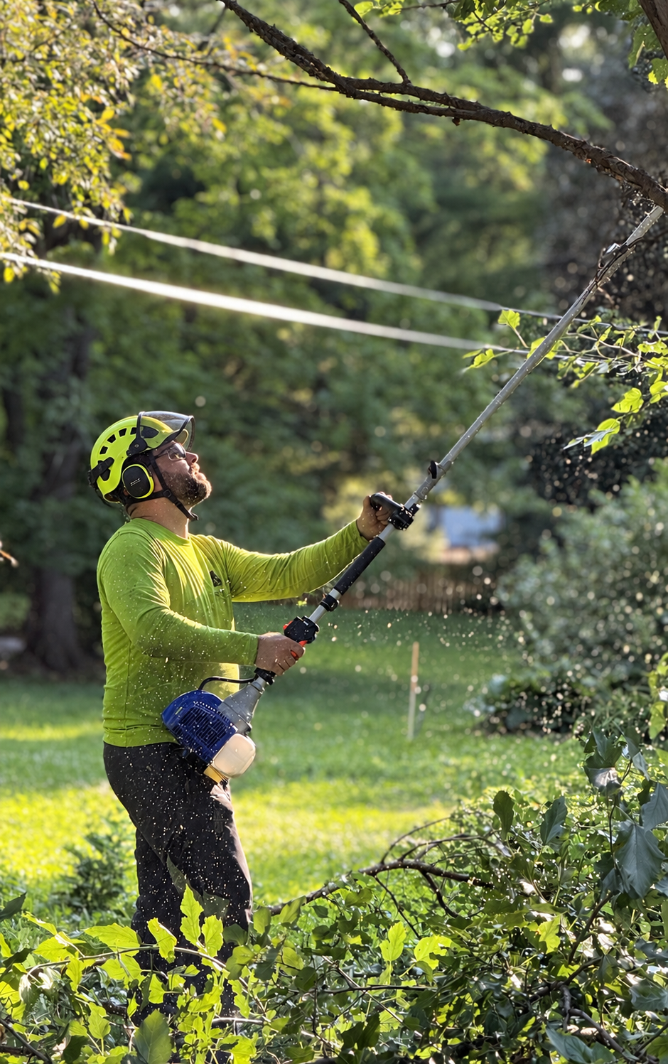 owner Kyle Phillips trimming a tree