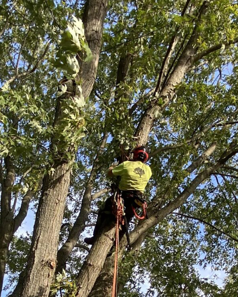 Kyle working